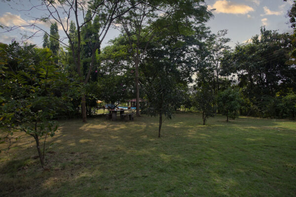 garden1