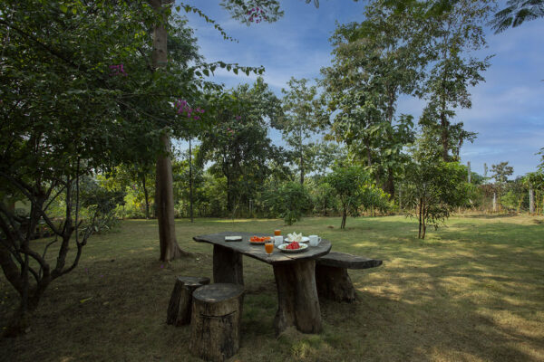 garden2